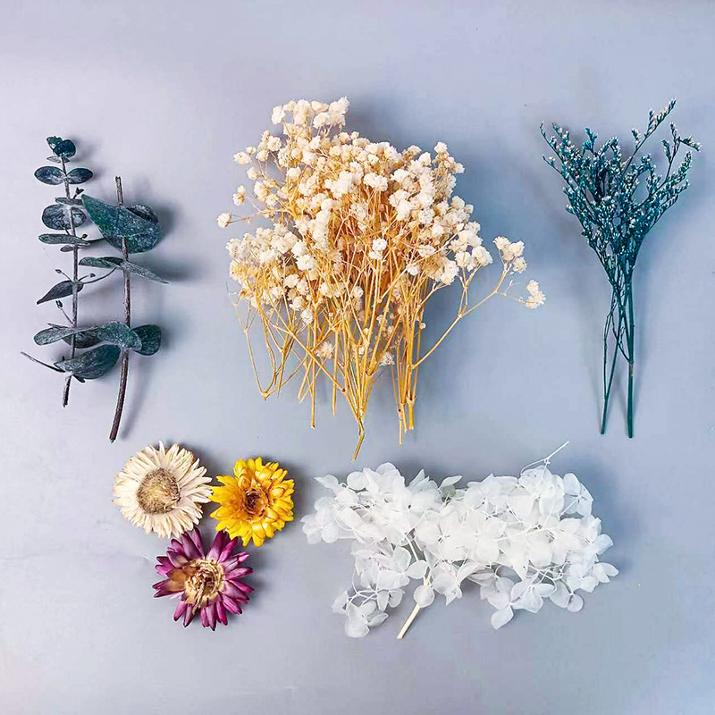 Dried Flower Bunch - 1pack Multifarious Dried Flowers Set For