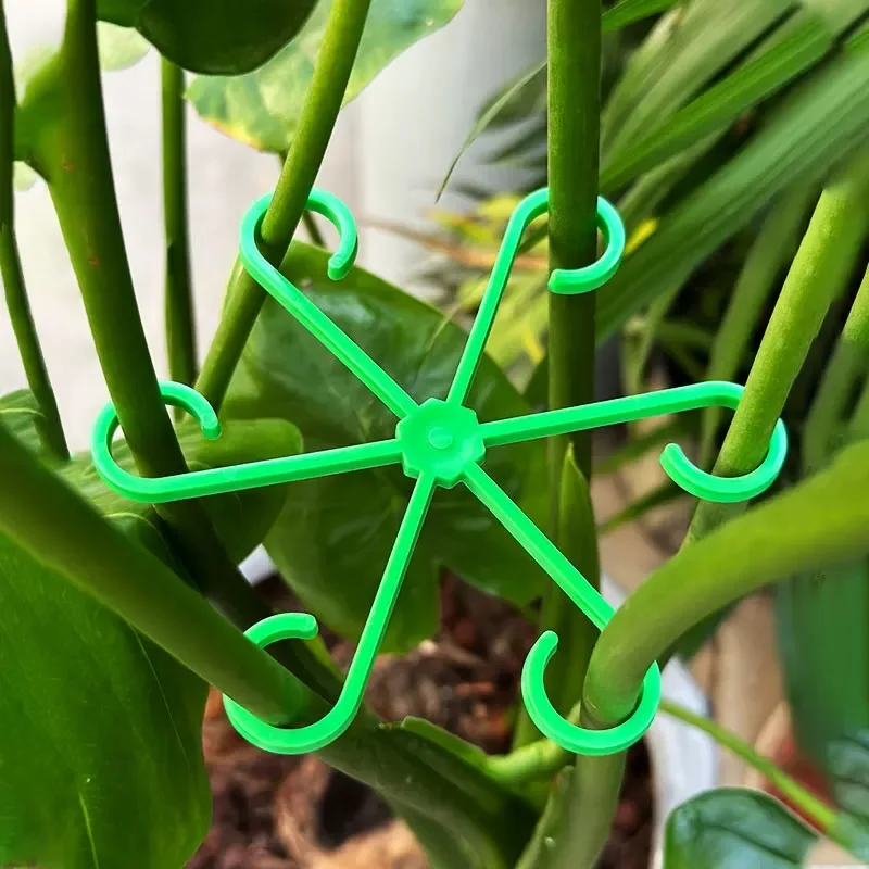 Flower Plant Stem Support Stak - đánh giá và giá Florist Supply Bulk