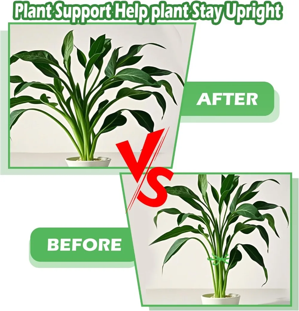 Flower Plant Stem Support Stak - đánh giá và giá Florist Supply Bulk