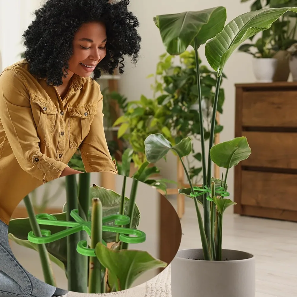 Flower Plant Stem Support Stak - đánh giá và giá Florist Supply Bulk