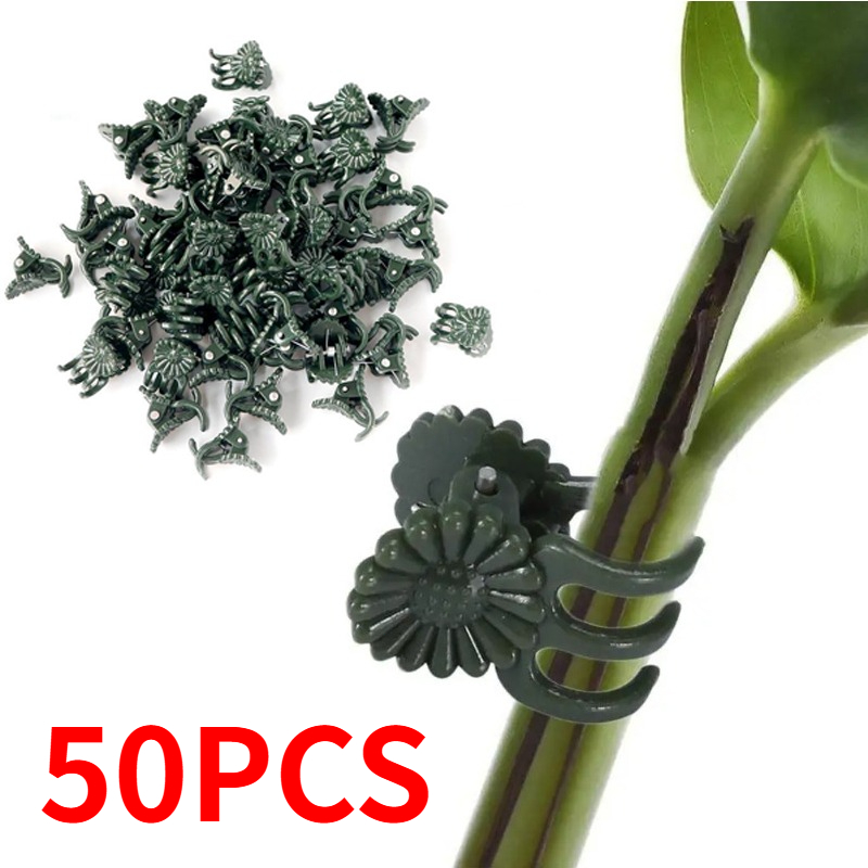 50PCS 5-Claw Dark Green Plant  - đánh giá và giá Florist Supply Bulk
