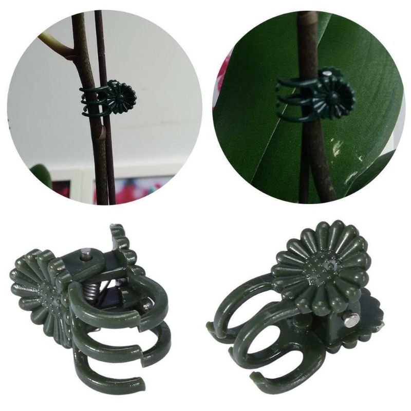 50PCS 5-Claw Dark Green Plant  - đánh giá và giá Florist Supply Bulk