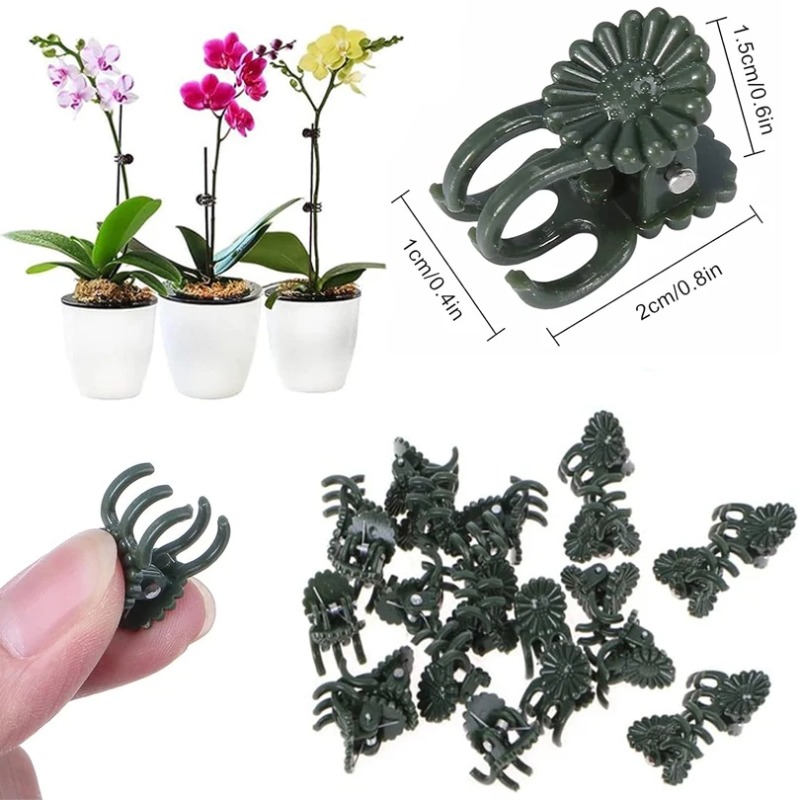 50PCS 5-Claw Dark Green Plant  - đánh giá và giá Florist Supply Bulk