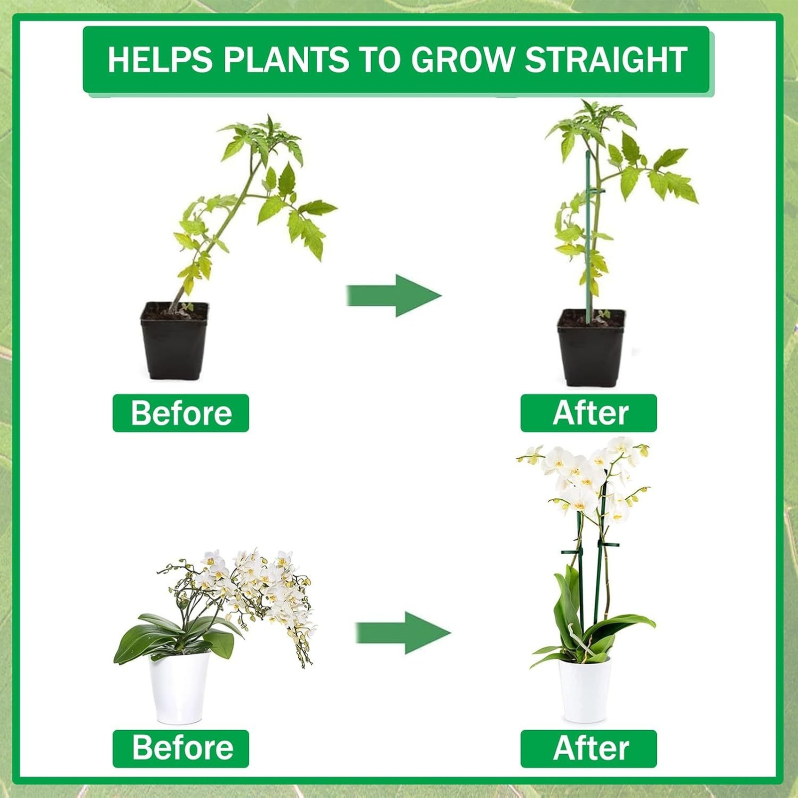 Plant Supports Rod Single Stem - đánh giá và giá Florist Supply Bulk