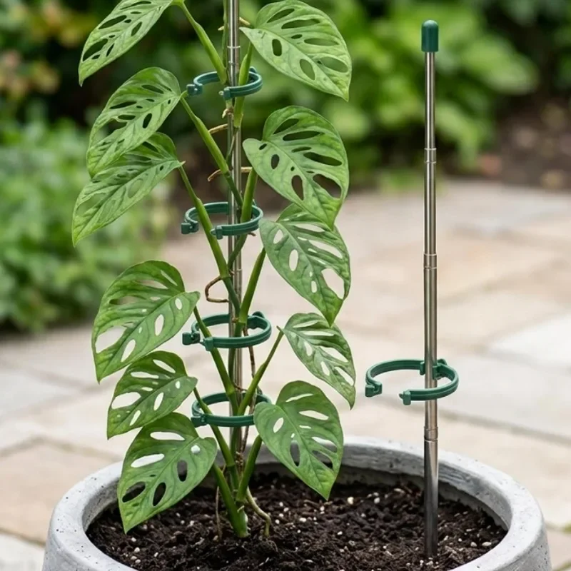 5/1PCS Retractable Plant Suppo - đánh giá và giá Florist Supply Bulk