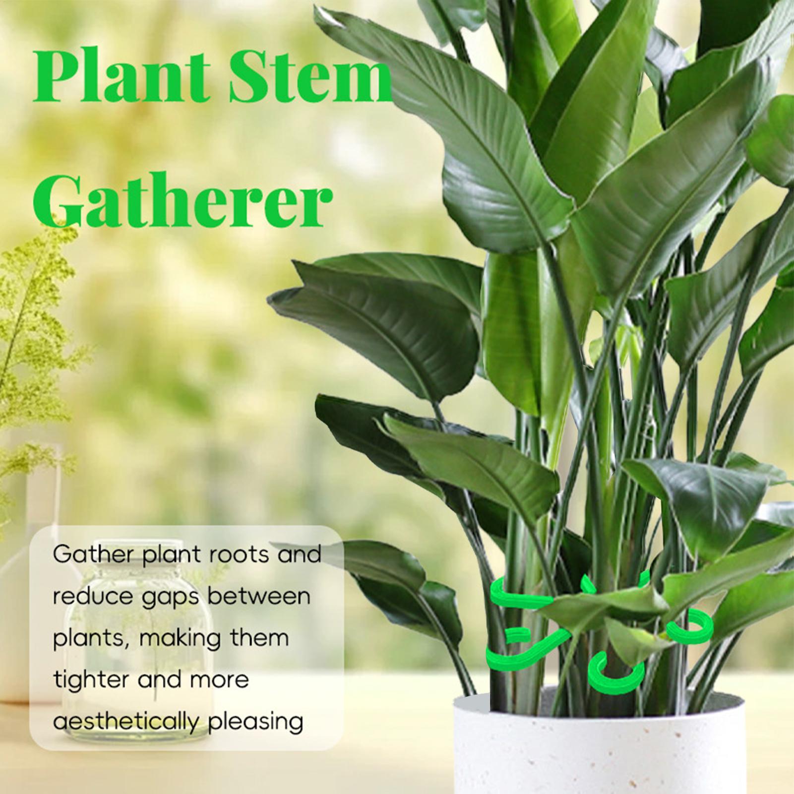 4pc Plant Fixing Clip Plant Cl - đánh giá và giá Florist Supply Bulk