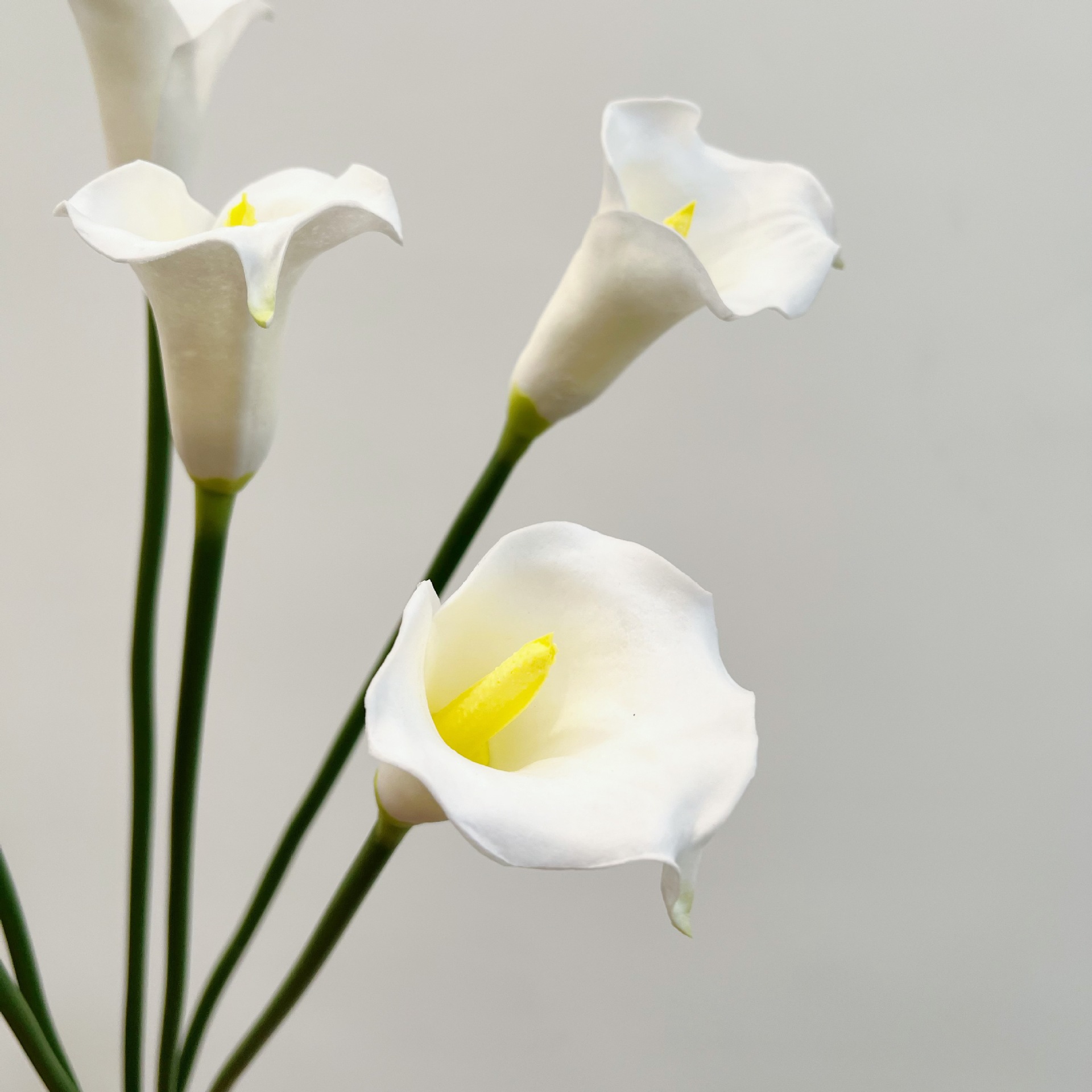 26 Inch Single Stem Crescent C - đánh giá và giá Florist Supply Bulk