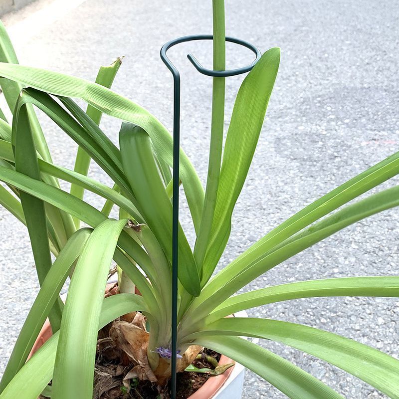 1-10pcs Metal Single Stem Plan - đánh giá và giá Florist Supply Bulk