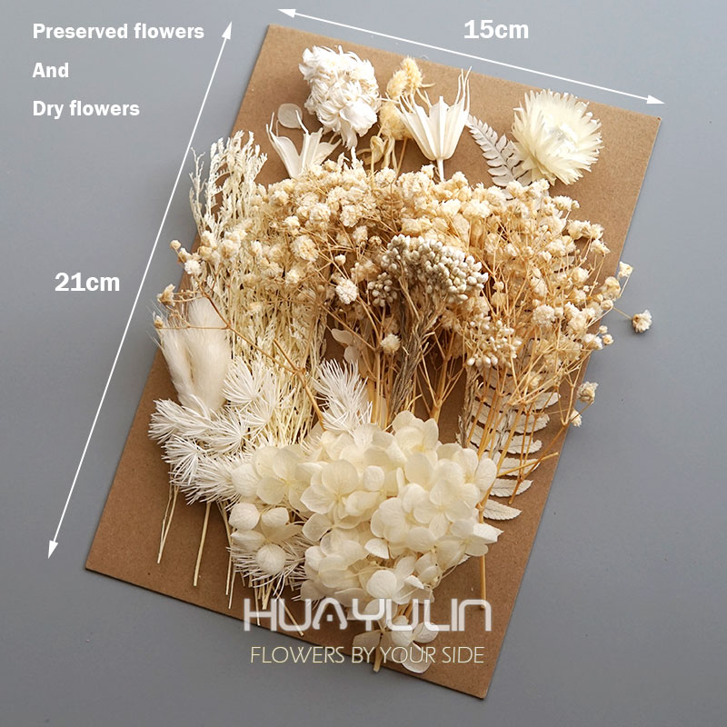 1 Pack Artificial Plants Dried - đánh giá và giá Dried Flower Bunch